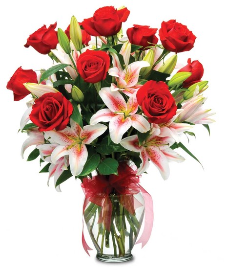 Premium Long-Stemmed Roses