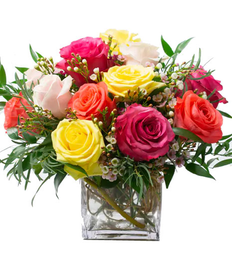 Mixed Color Roses